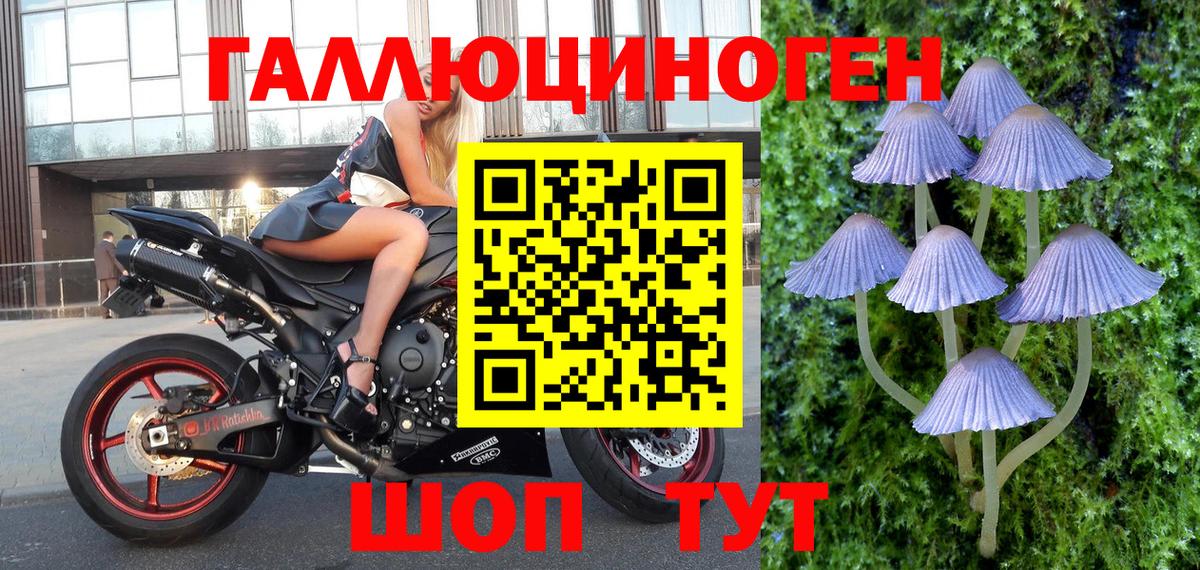 Псилоцибиновые грибы прущие грибы  Галлюциногенные грибы мухоморы  Моршанск  Вход с VPN 